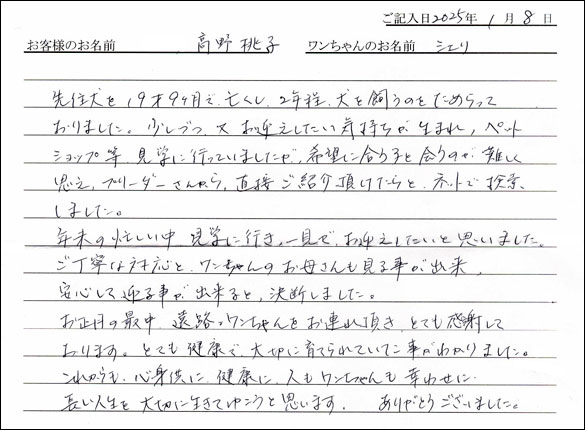 ダックスフンドお客様の声